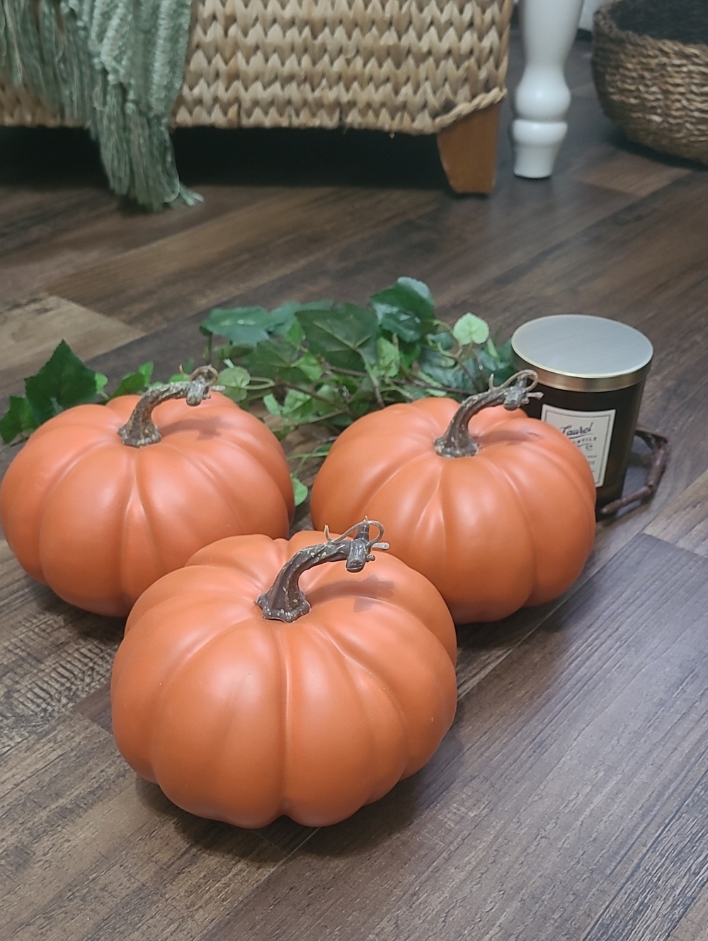 Bundle of Plastic Pumpkins - Picture 1 of 1